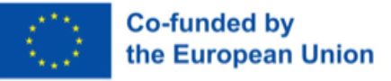 Co-funded by the European Union